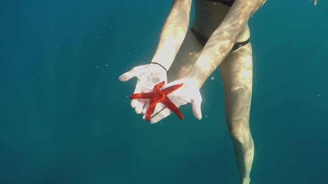 SLOW MOTION UNDERWATER: Woman swimming in blue ocean, holding starfish in hands