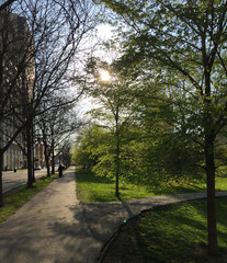 Chicago's Lincoln Park in the Spring