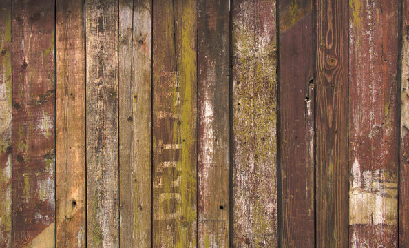 Fototapeta Texture wooden fence with horizontal yellow boards and faded pai