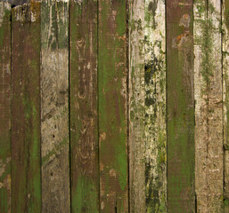 Texture wooden fence with vertical green boards and faded paint