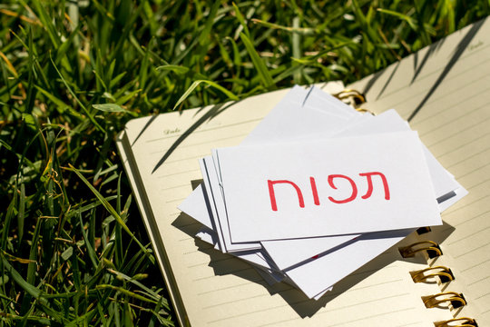 Hebrew; Learning New Language with Handwritten Flash Cards. Tran
