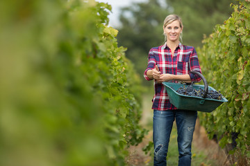 female farmer in vineyard