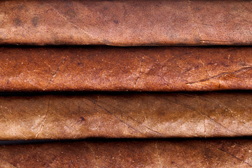 Chocolate Cigars in Row
