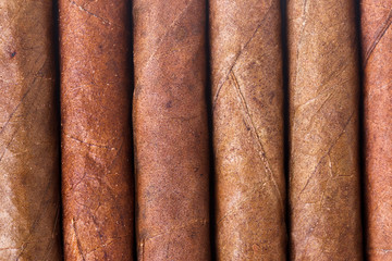 Chocolate Cigars in Row