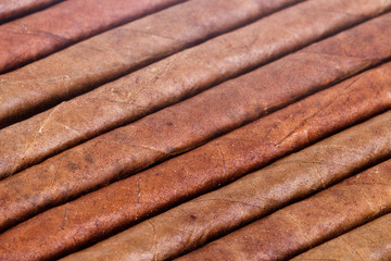 Chocolate Cigars in Row