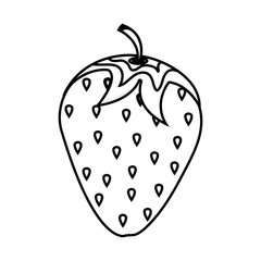 Fototapeta premium strawberry fresh fruit isolated icon vector illustration design