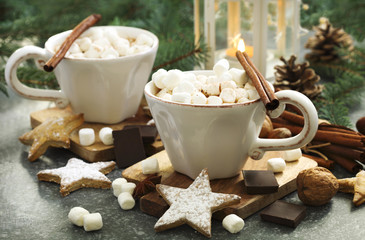 Hot chocolate with marshmallows and cinnamon.