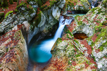 Mountain creek autumn in the Lepena valley - obrazy, fototapety, plakaty