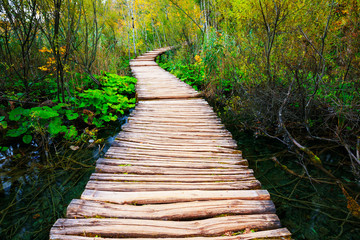 Obraz premium Boardwalk in the park Plitvice lakes