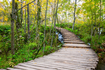 Boardwalk in the park Plitvice lakes