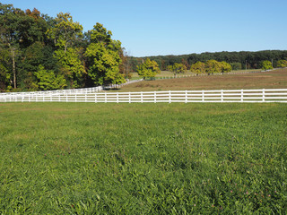 white fence by a country lane