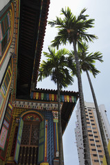 Colorful shop house with palm trees