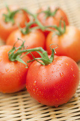 枝付きのミニトマト