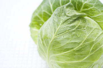 Obraz premium キャベツ