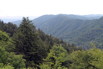 Fototapeta na wymiar View of the Mountains in Great Smoky Mountains National Park