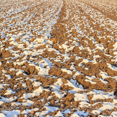Plowed earth in winter