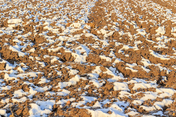Plowed earth in winter