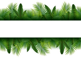 Obraz premium Tło lasów tropikalnych