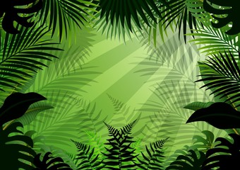 Tropical forest background