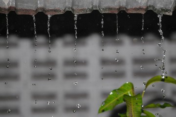 Naklejka na ściany i meble Blur blurred, Motion drop of water rain from roof at night