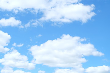 Obraz na płótnie Canvas blue sky.