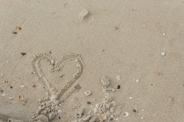 Stone,Shells in the sand on the beach in the summer.