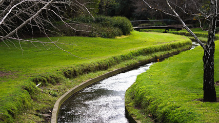 small river in the park