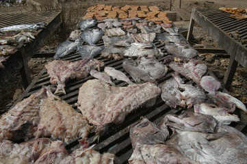 Fish drying in the sun on a rack, Dakar, Senegal