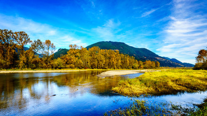 Fototapeta na wymiar Fall Colors around Nicomen Slough, a branch of the Fraser River, as it flows through the Fraser Valley of British Columbia
