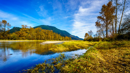 Fall Colors around Nicomen Slough, a branch of the Fraser River, as it flows through the Fraser Valley of British Columbia