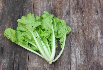 Fototapeta premium chinese cabbage organic vegetables on a wooden table. Insect eat leaf