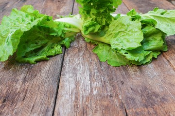 chinese cabbage organic vegetables on a wooden table. Insect eat leaf