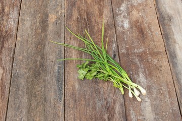 green onion and coriander organic on wooden background 