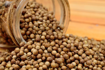 coriander seed on table