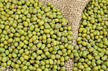 beans mung on sack