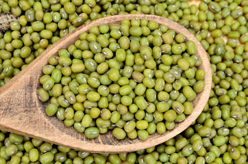 mung beans on spoon
