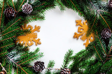 Fototapeta na wymiar Pine branches isolated on white background