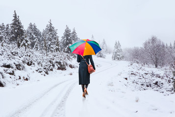 Woman walking with umbrella on snowy winter day.