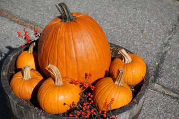 pumpkin decoration in autumn