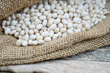 white beans in sack