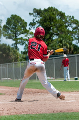 American baseball player swinging bat © tammykayphoto