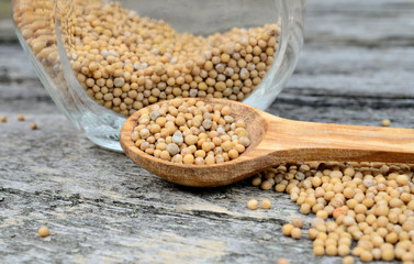 mustard seed on table