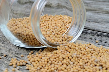 mustard seed in bowl flow on table