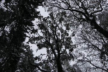 Herbststimmungen