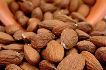 group of almond with bowl