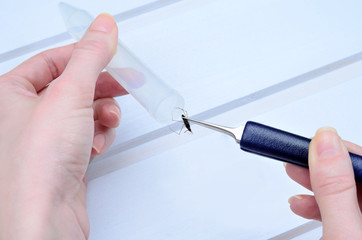 study of aquatic insect