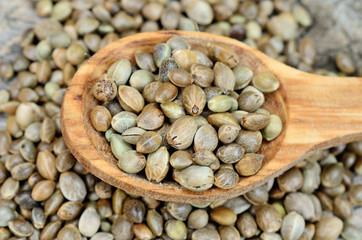 hemp seed in spoon