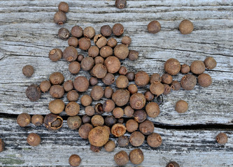 allspice on table