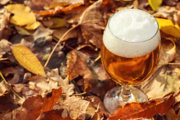 Zelfklevend Fotobehang Bier in het herfstbos © hiddenhallow