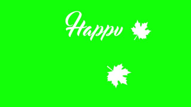 4K Thanksgiving greeting card with Happy Thanksgiving animation lettering text. Ifinity loop thanksgiving card. White text. Green chromakey background. Flat.